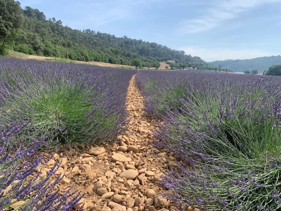 Maisonnette Atypique Cadarache-Iter Saint-Paul-les-Durance Dış mekan fotoğraf